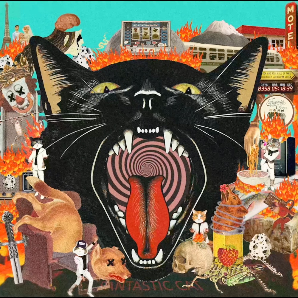 Fantastic Cat - Cat Out Of Hell album cover