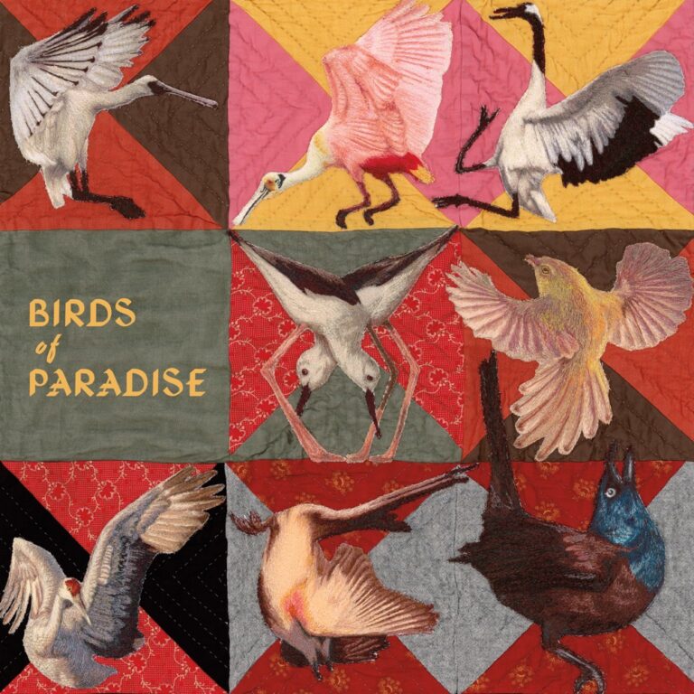 Thomas Dollbaum - Birds of Paradise album cover