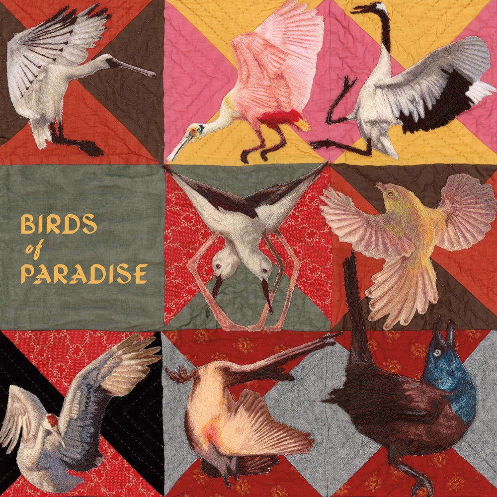 Thomas Dollbaum - Birds of Paradise album cover