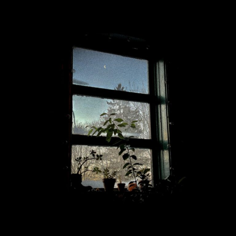 Caroline Cotter - A Quiet Song of Hope album cover