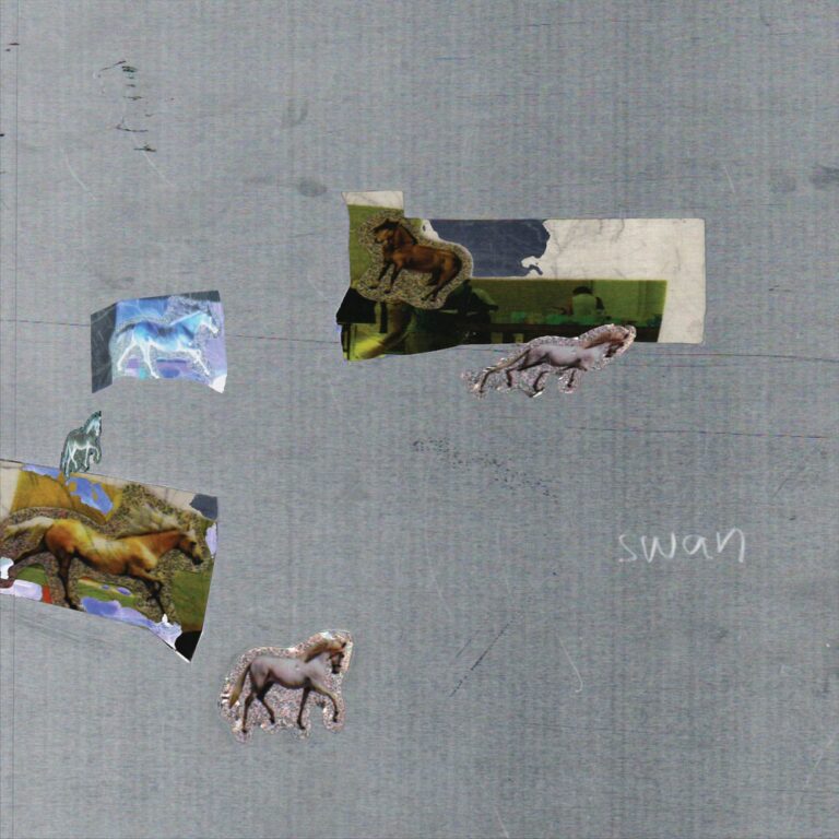 Fazed on a Pony - Swan album cover