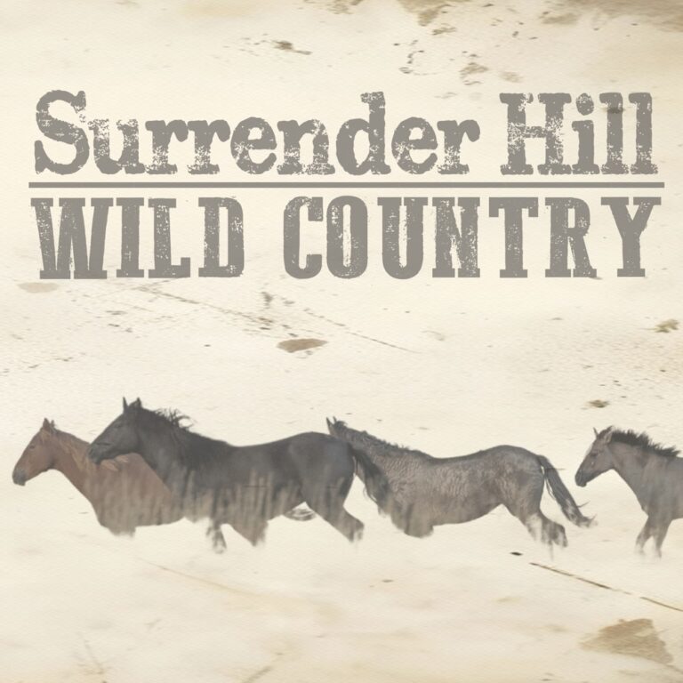Surrender Hill - Wild Country album cover