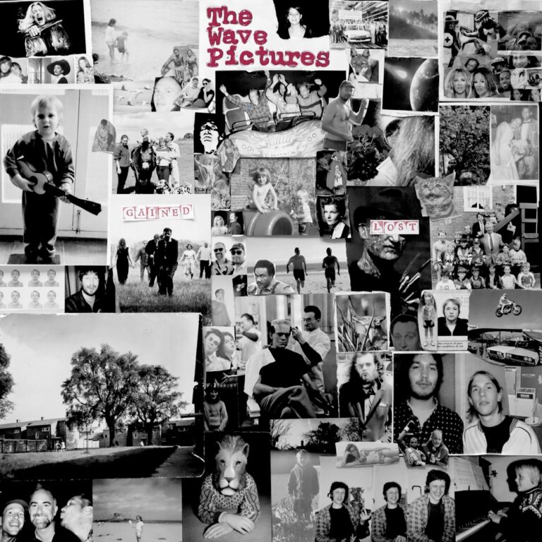The Wave Pictures - Gained / Lost album cover