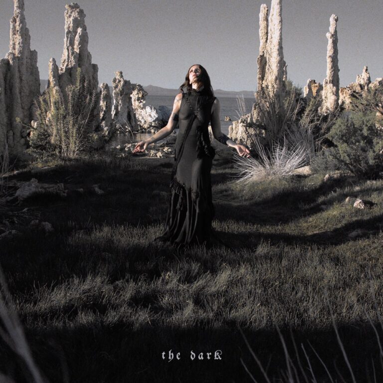 Chelsea Wolfe - The Dark album cover
