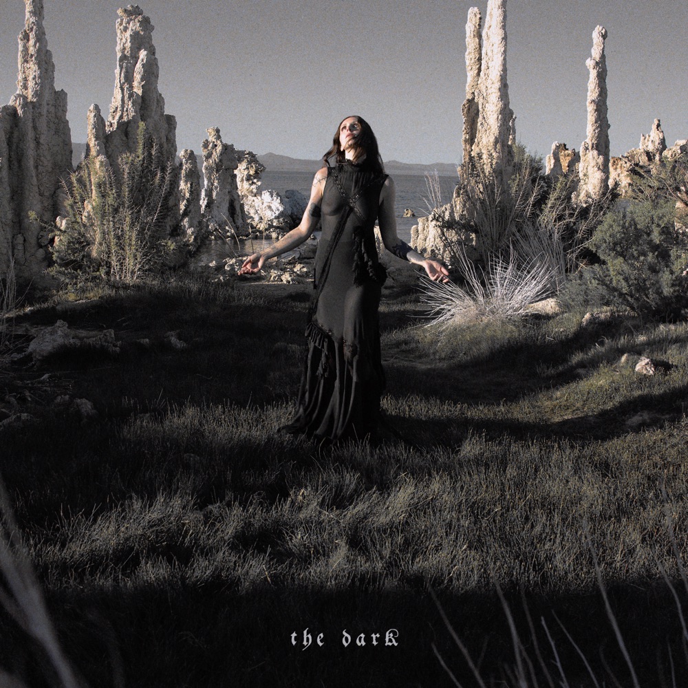 Chelsea Wolfe - The Dark album cover